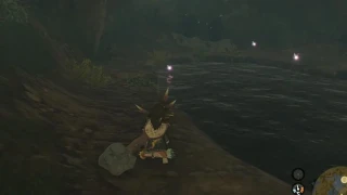 Zelda: Tears of the Kingdom : Les fées, où en trouver et à quoi servent-elles ?