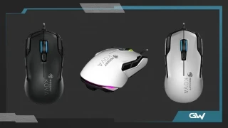 Découverte de la souris Roccat Kova AIMO