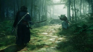 Rise of the Ronin est-il multijoueur ?