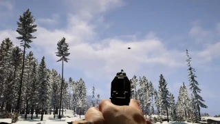 Sons of the Forest : Le pistolet, où le trouver ? 