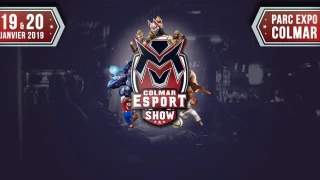 Fortnite : GamersOrigin remporte le Colmar Esport Show