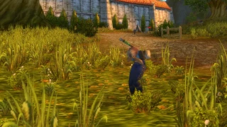 WoW SoD : Les serveurs sont déjà surchargés, Blizzard en verrouille certains
