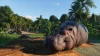 Illustration - Planet Zoo débarquera le 5 novembre sur PC