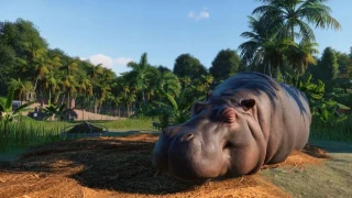 Planet Zoo débarquera le 5 novembre sur PC