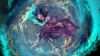 Illustration - EXOK (Celeste) contraint d'annuler son dernier projet en date