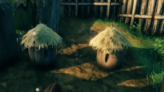 Valheim : Comment avoir du miel, des abeilles et des ruches ?
