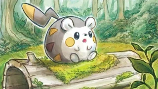 Pokémon Pocket : Partez à la recherche des écureuils avec la Pioche miracle