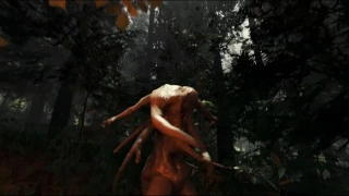 The Forest a finalement une date de sortie de son accès anticipé