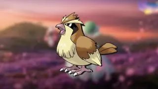 Pokémon GO : Roucool à l'honneur pour l'heure vedette du 2 septembre
