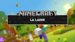 Minecraft : La laine, comment en obtenir ? 