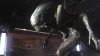 Illustration - Alien: Blackout : Un teaser annonce le retour de Amanda Ripley