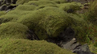 Death Stranding : Un screenshot assez exceptionnel dévoilé !
