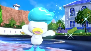Pokémon Écarlate et Violet : Quand évoluent Poussacha, Chochodile et Coiffeton ?