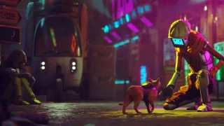 Stray bientôt adapté en film d'animation