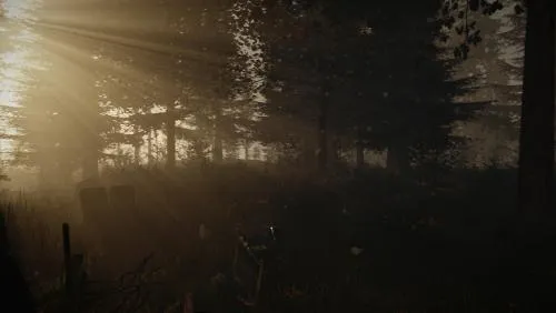 v0.19 - Rééquilibrage des structures