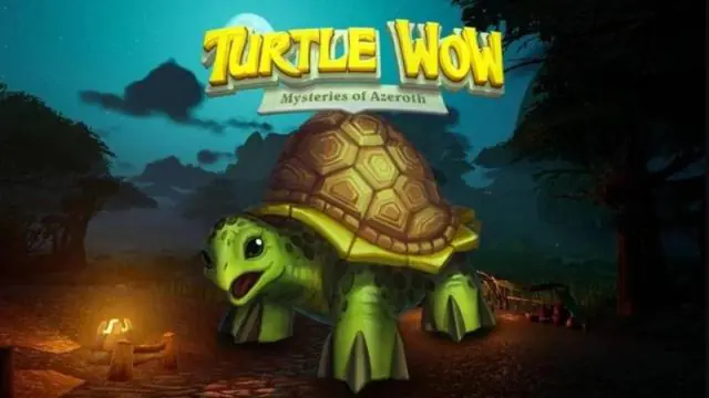 WoW Turtle va fermer, la Cour prend le parti de Blizzard