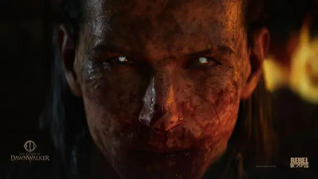 The Blood of Dawnwalker : Son budget n'est pas si conséquent, un chiffre dévoilé