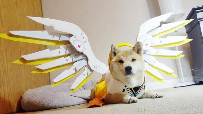 Overwatch fête l'année du Chien en lançant le Puppy Rumble sur Twitch !