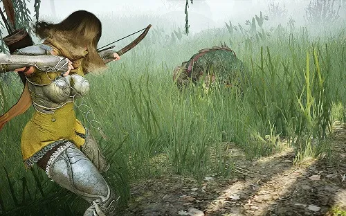 Arme éveillée : Ranger