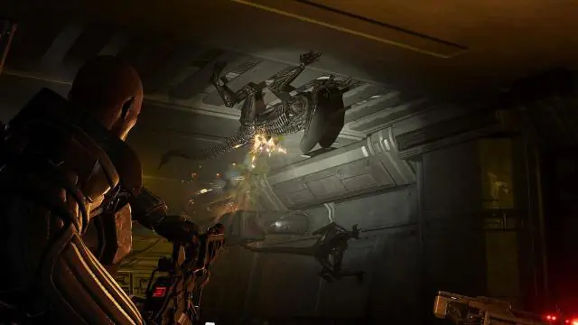 Aliens: Fireteam Elite 2 est-il cross-play ?