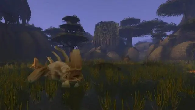 WoW Forever : Instances connues et zones inexplorées, Blizzard donne quelques pistes sur le futur de Classic+