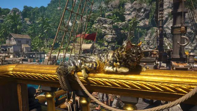 Assassin's Creed: Black Flag Resynced : Comment obtenir des animaux de compagnie ?