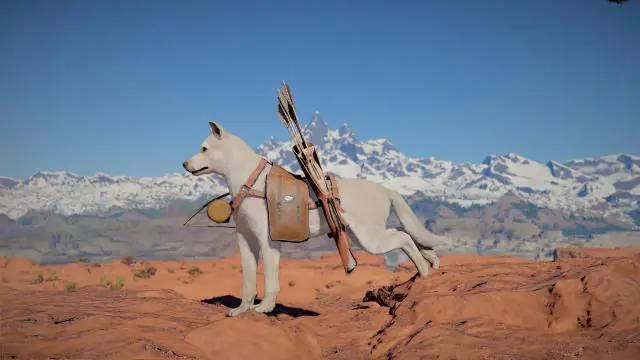 Crimson Desert : Comment changer le nom de son familier et de son cheval ?