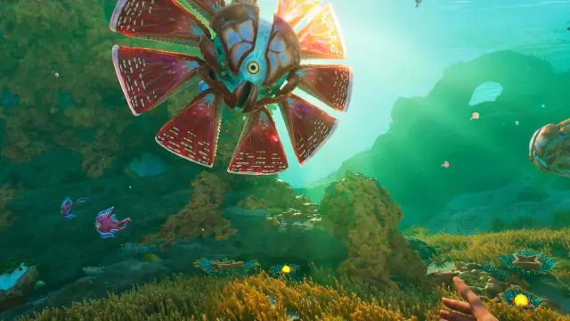 Après Silksong, Subnautica 2 est le jeu le plus attendu, devant Borderlands 4 et Battlefield 6