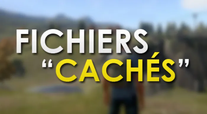 Futurs contenus cachés