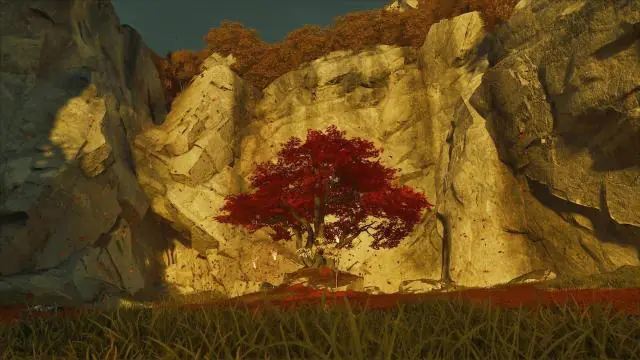 Mélodies de shamisen Ghost of Yotei : Comment toutes les débloquer ?