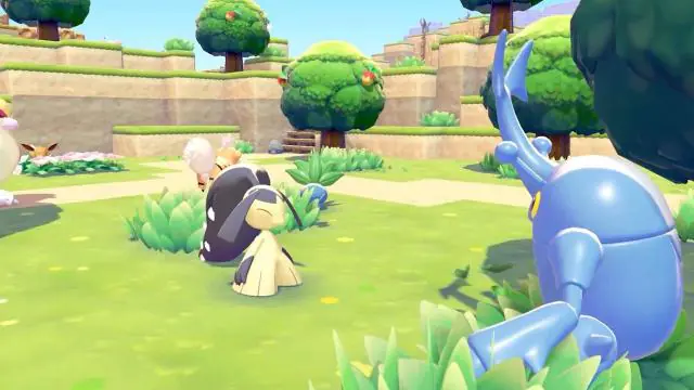 Pokémon Pokopia : Quel est le prix du Pass d'extension ?