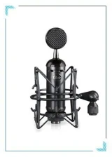 Blackout Spark SL